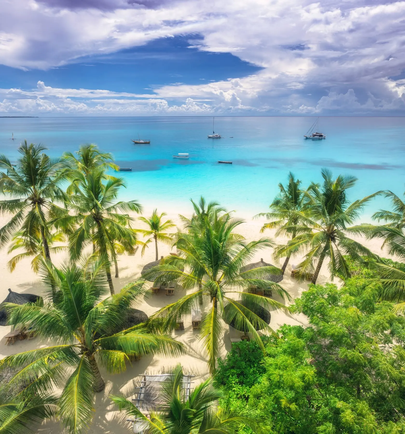 Turquoise water and palm-lined beach in Zanzibar